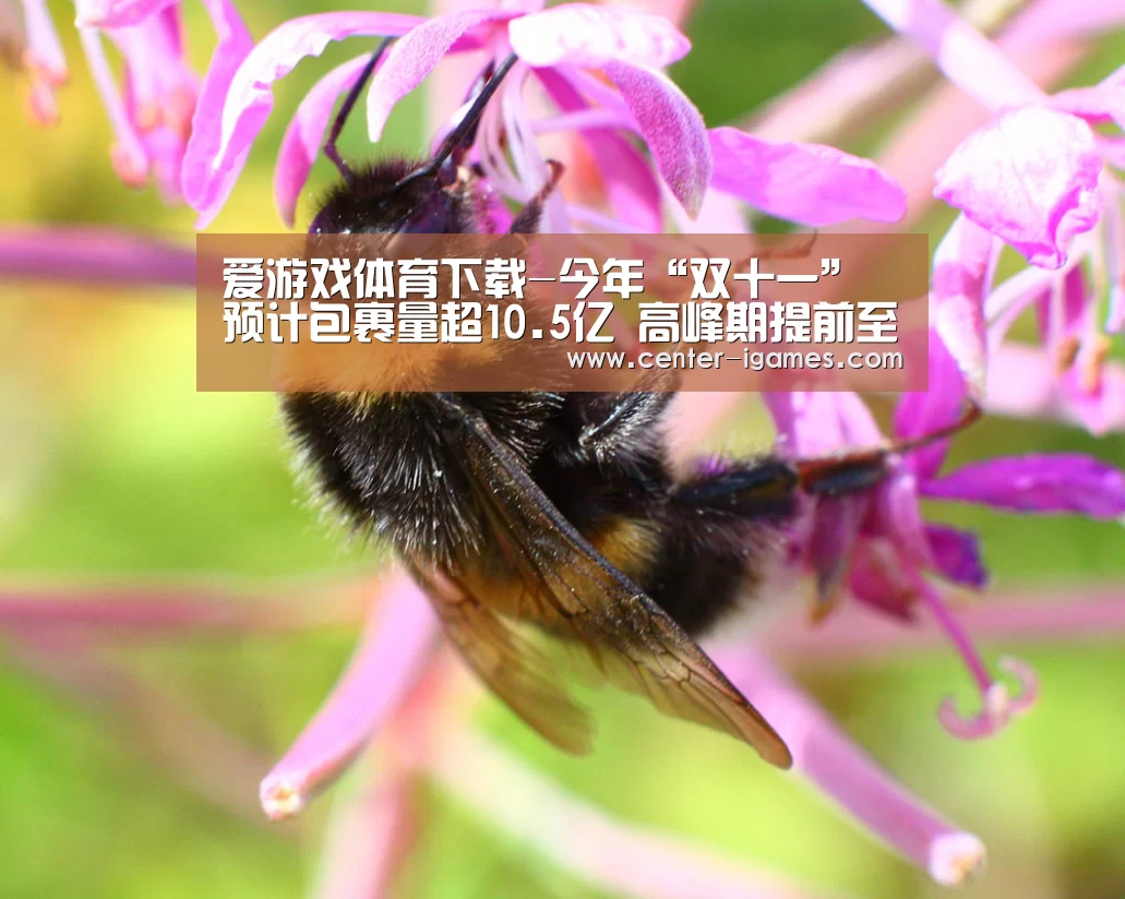 爱游戏体育下载-今年“双十一”预计包裹量超10.5亿 高峰期提前至当天(图4) 爱游戏体育app