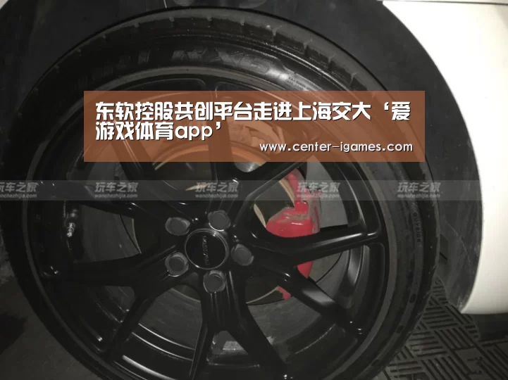 东软控股共创平台走进上海交大‘爱游戏体育app’(图4) ayx下载