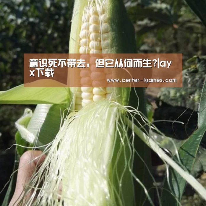 意识死不带去,但它从何而生?|ayx下载(图3) ayx下载
