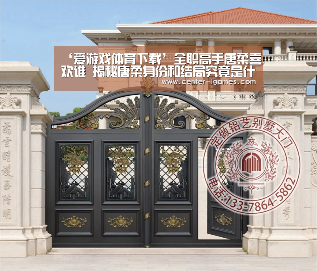 ‘爱游戏体育下载’全职高手唐柔喜欢谁 揭秘唐柔身份和结局究竟是什么(图4) 爱游戏